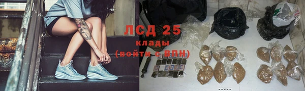 гашик Володарск